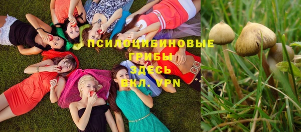 мдпв Остров
