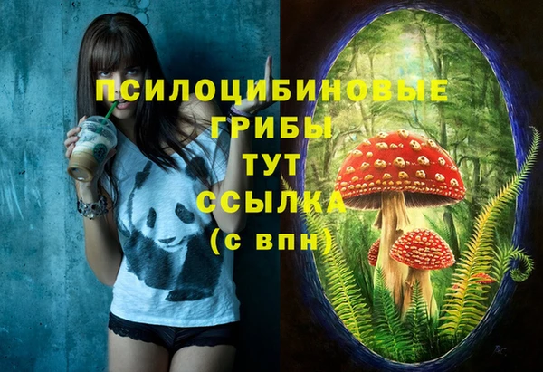 a pvp Осинники