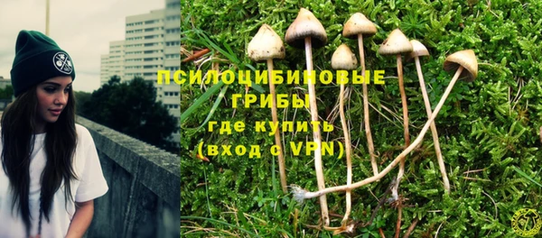 a pvp Осинники