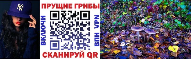 Галлюциногенные грибы мицелий  Котово 